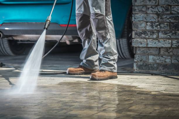Best Pre-Holiday Cleaning  in Redway, CA